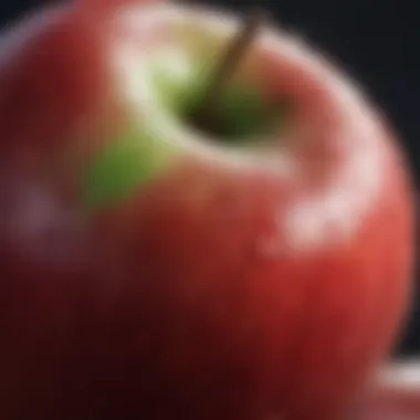 Ethereal Skin of an Apple Delicate apple skin texture close-up
