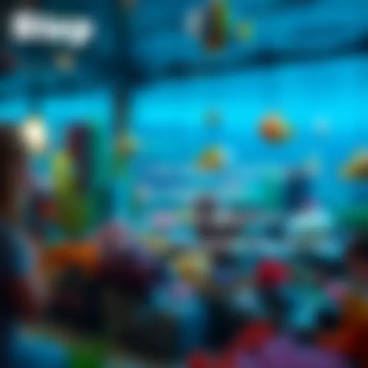 Step-by-Step Instructions for Resetting Illustrative instructions for the resetting steps