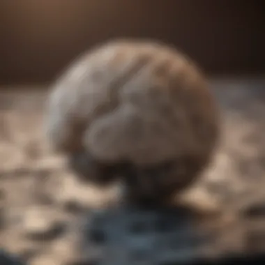 Mystery Unveiled Brain Teasing Challenge Illustration