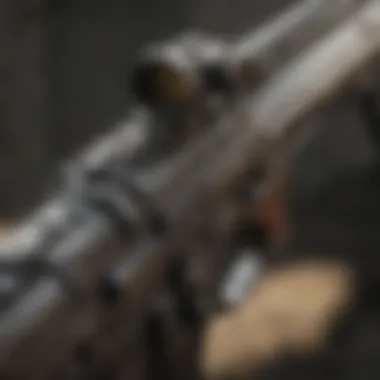 Weapon Customization in COD