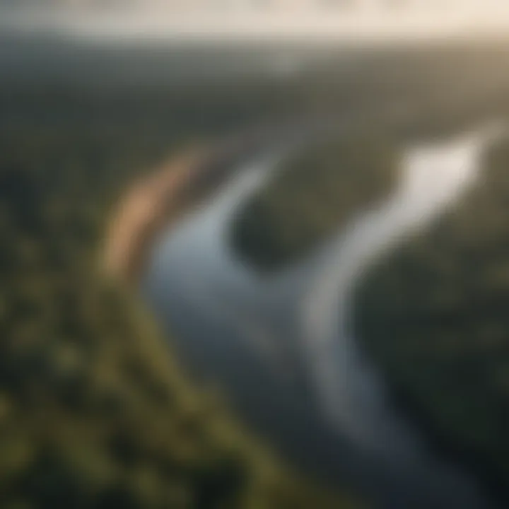 Majestic view of the Amazon River winding through lush rainforest