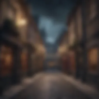 Captivating Diagon Alley Puzzle Spellbinding Diagon Alley Puzzle