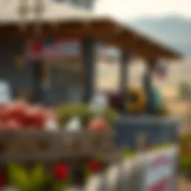 Farm-Themed Graphic Elements in Solitaire Grand Harvest Farm-themed graphic elements in Solitaire Grand Harvest