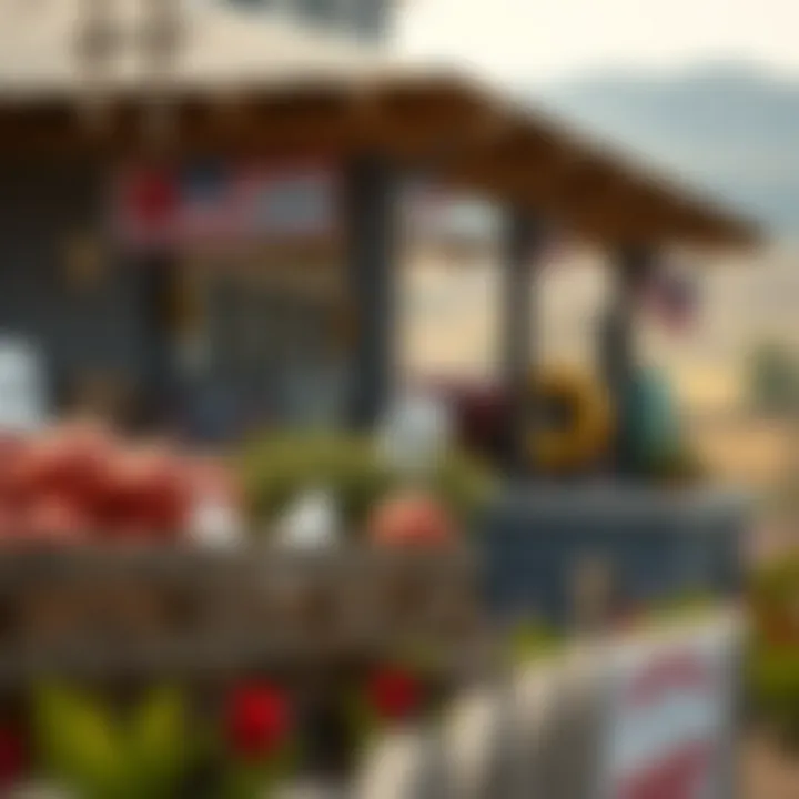 Farm-Themed Graphic Elements in Solitaire Grand Harvest Farm-themed graphic elements in Solitaire Grand Harvest