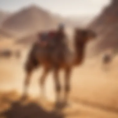 Virtual Camel Race Simulation